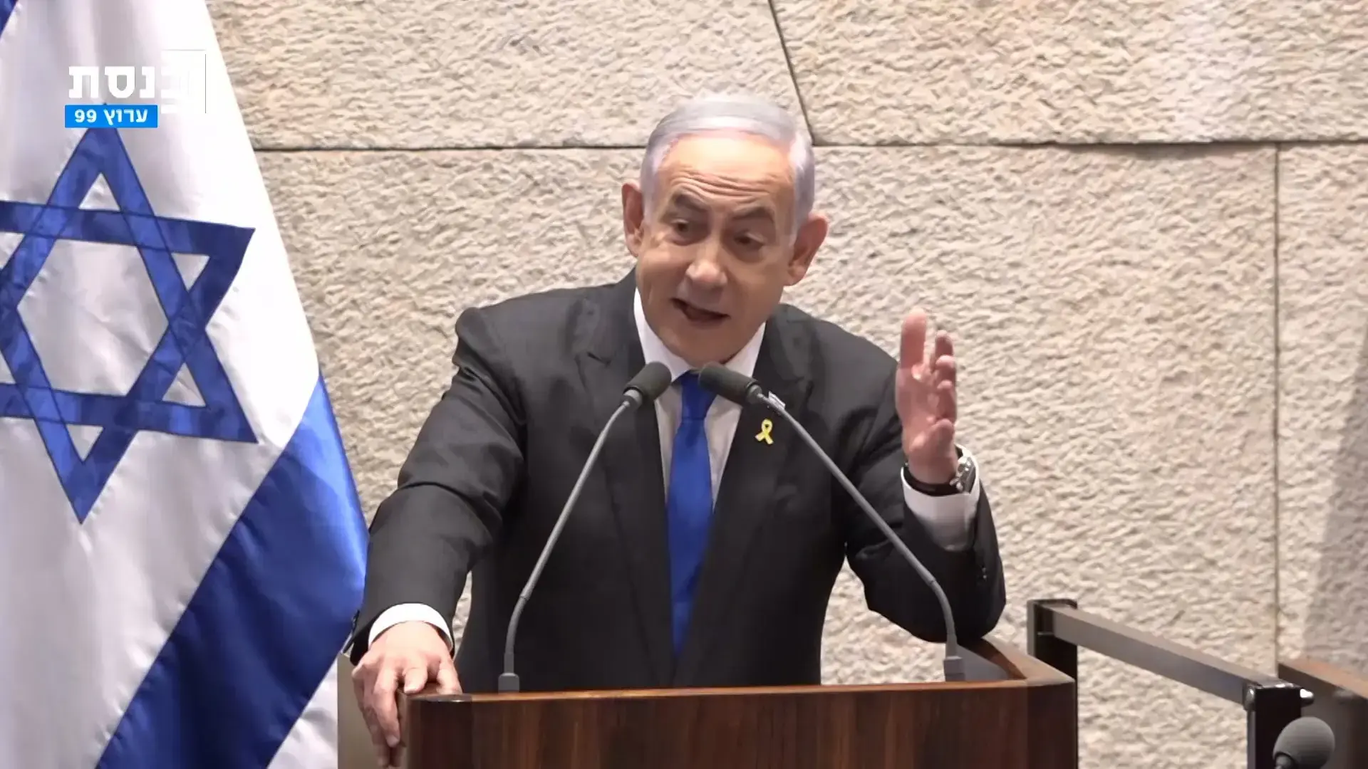 עד כמה נתניהו חושש מוועדת חקירה ממלכתית? עד לשלוח את אסתר חיות להאג