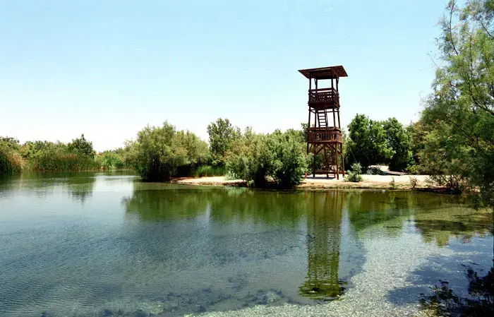 חוגגים מצפון עד דרום