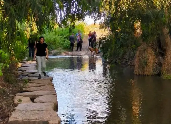ראש מועצת רמת הגנב תוקף את בן גביר: "השר קרוקודיל דנדי"