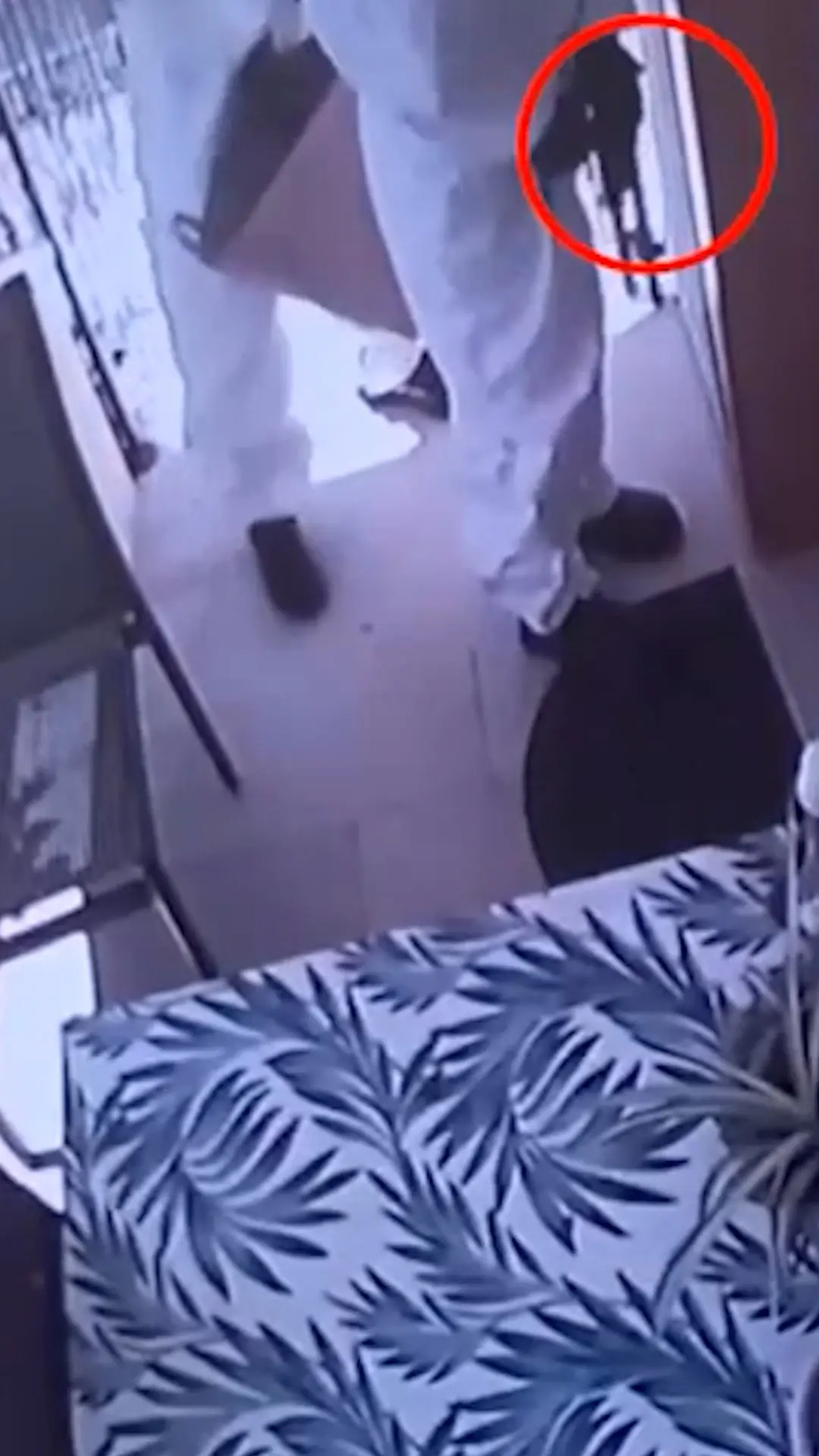 "שפל מוסרי מהדהד": בנות זוג מחיפה שדדו קשישה שהכירו במקלט - ונשלחו למאסר