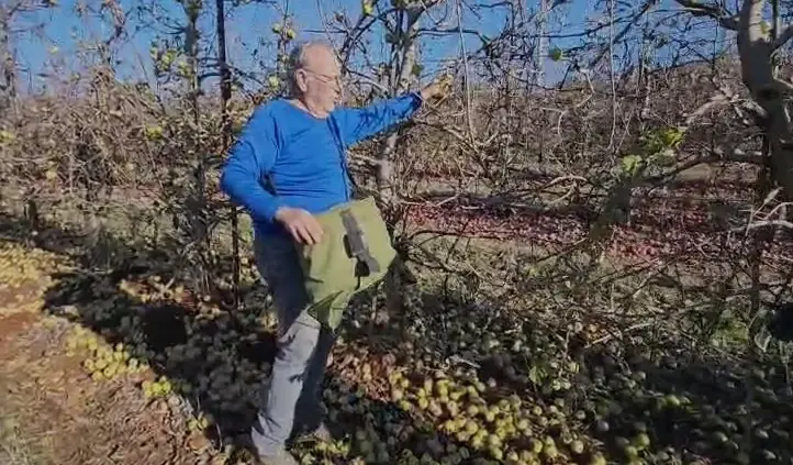 4 מיליארד שקל בשנתיים: הסתיימה שהיית המפונים מהצפון במלונות