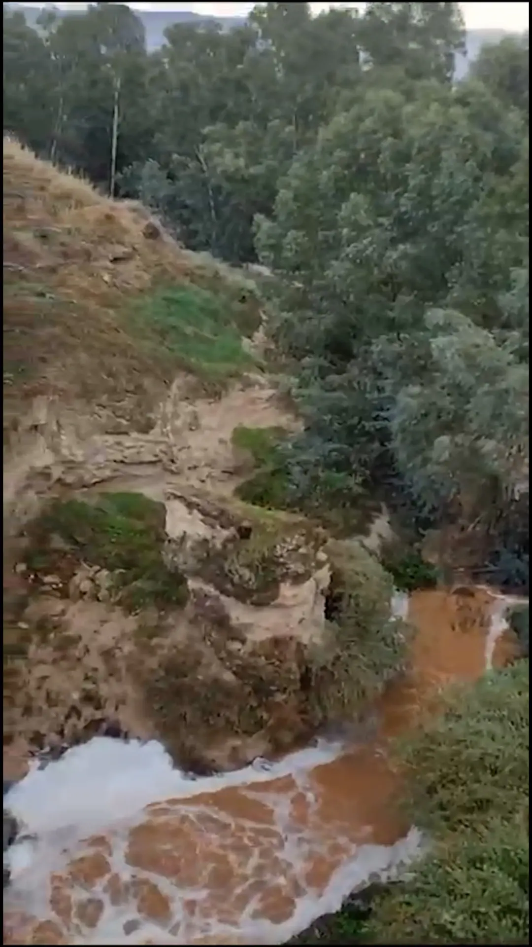 2024 הייתה השנה השנייה הכי לוהטת מאז 1950, כחלק ממגמה מדאיגה של התחממות