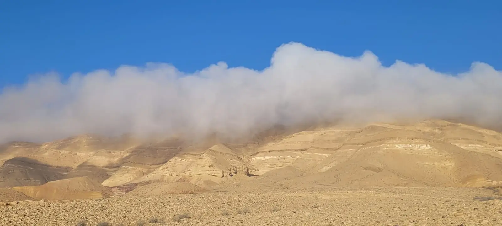 התחממות קלה וגשם מקומי בצפון הארץ | תחזית מזג האוויר