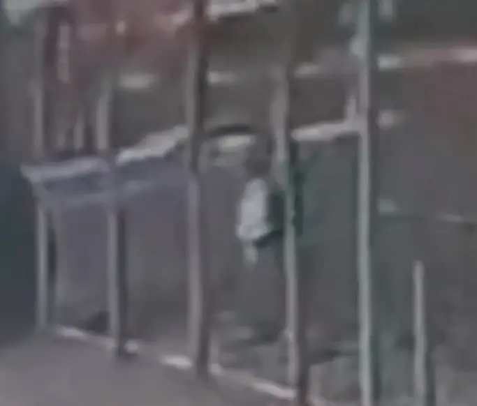מעצרו של איתן מוריי מרגוליס בן ה-28 החשוד בהתעללות ובהרג חתול הוארך