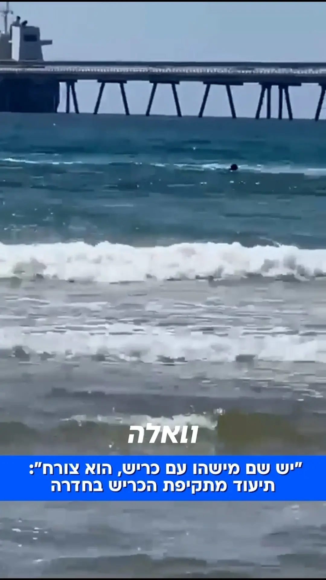 אחיו של השחיין שהותקף על ידי כריש בחדרה מדבר לראשונה: "הוא היה איש טבע, אדם טוב לב - אנחנו לא מעכלים"