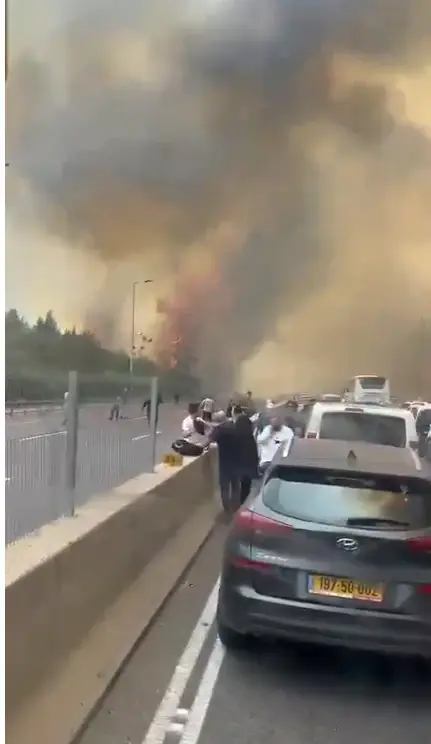 הושגה שליטה על השריפה הגדולה בהרי יהודה, צוות חקירה יבדוק את נסיבותיה
