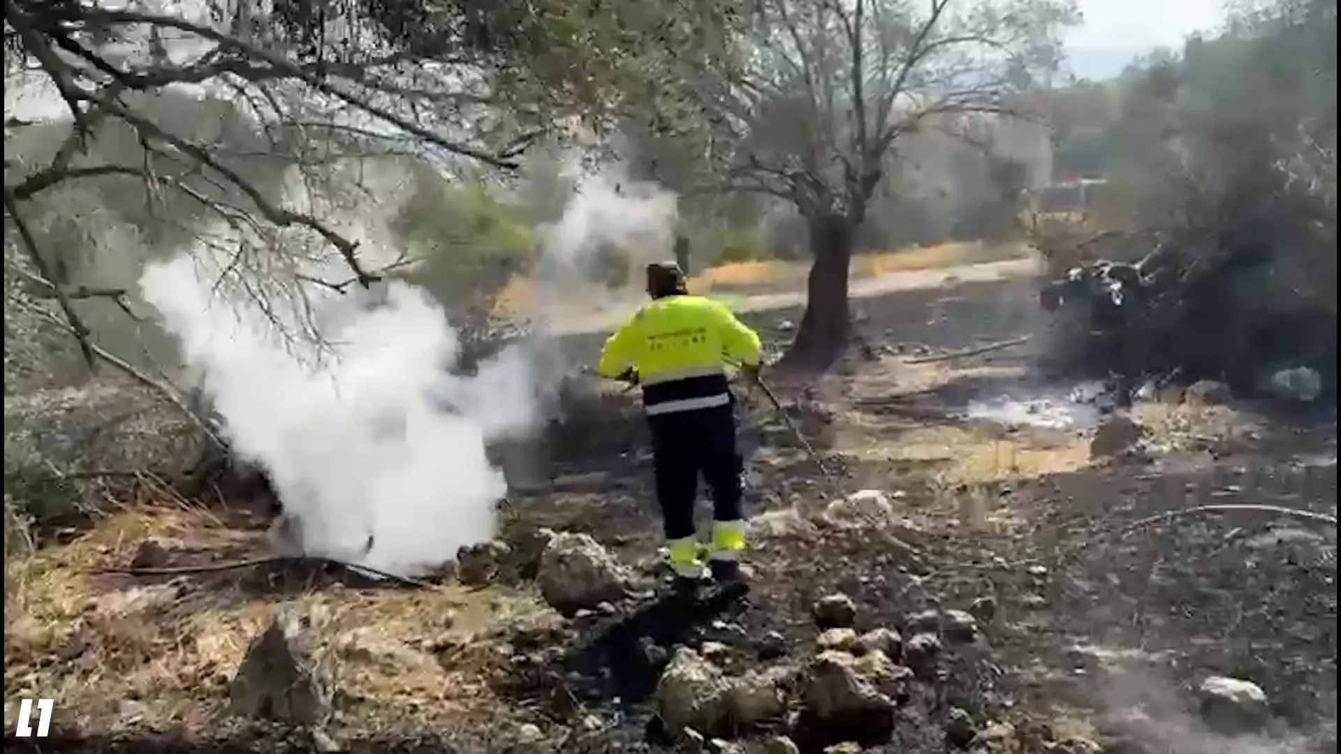 מאמצי הכיבוי נמשכים: טרם הושגה שליטה מלאה על האש