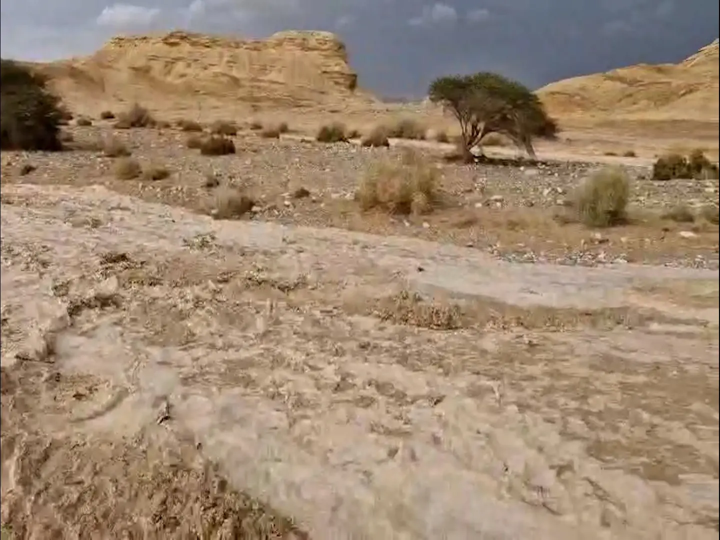 החורף סוף סוף מגיע: סופ"ש חורפי במיוחד לפנינו | התחזית המלאה