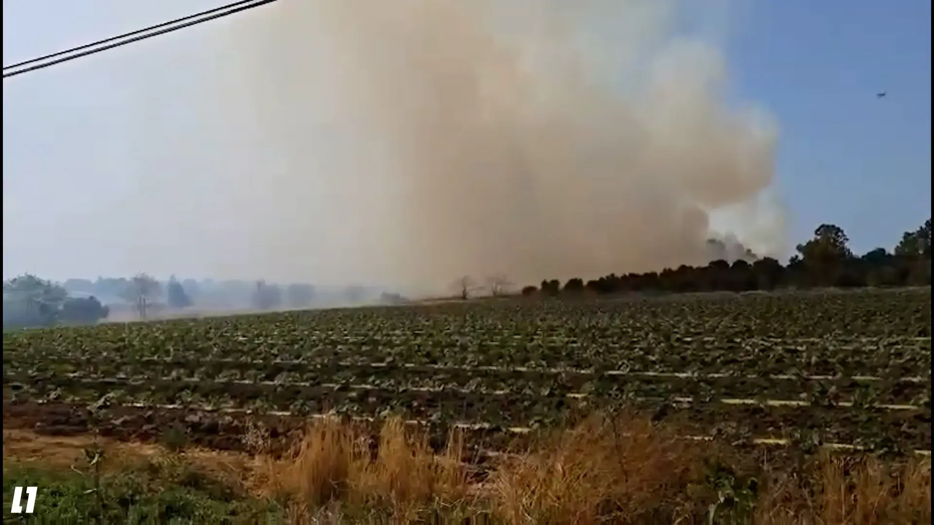שריפה פרצה בשטח פתוח באזור השפלה, תושבים פונו מבתיהם