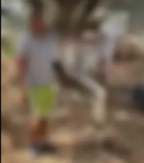 התעללו בבעלי חיים ודאגו לתעד הכל - 3 חשודים נעצרו בפרשה החמורה