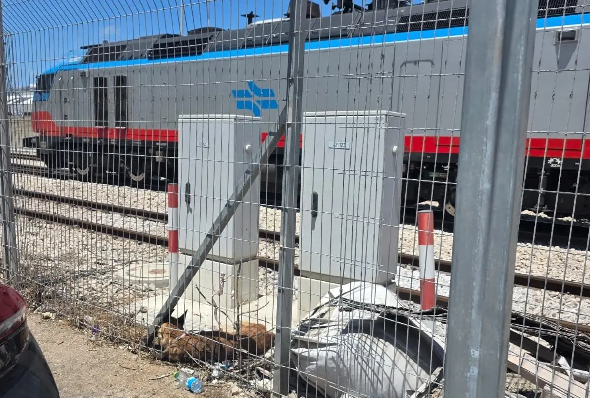 כלב נתקע בין גדרות סמוך לפסי רכבת בחיפה - הווטרינר העירוני חילץ אותו