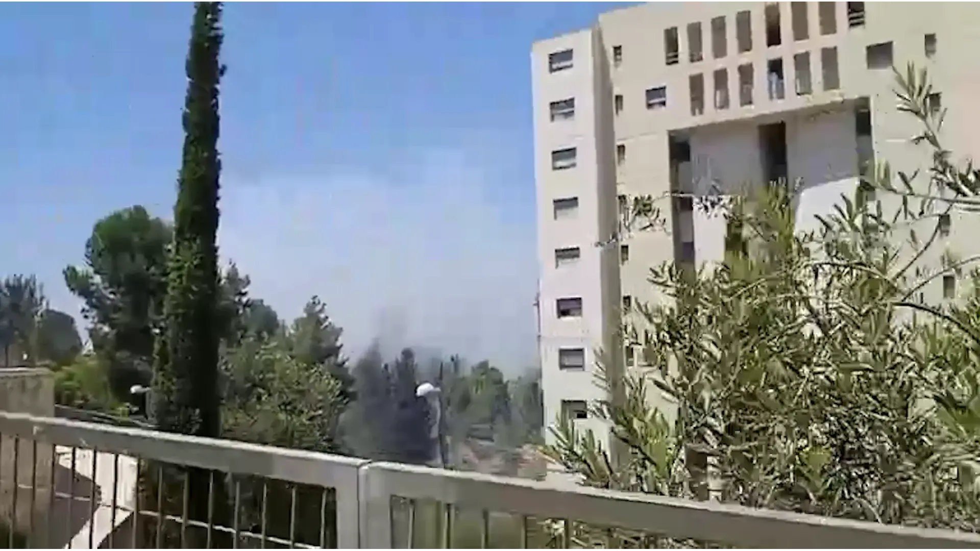 השריפה ביער כרמית - נגרמה מהתנגשות ציפור במתח גבוה באזור