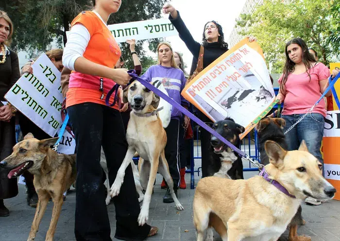 ת"א: הפגנה נגד המתת בעלי חיים