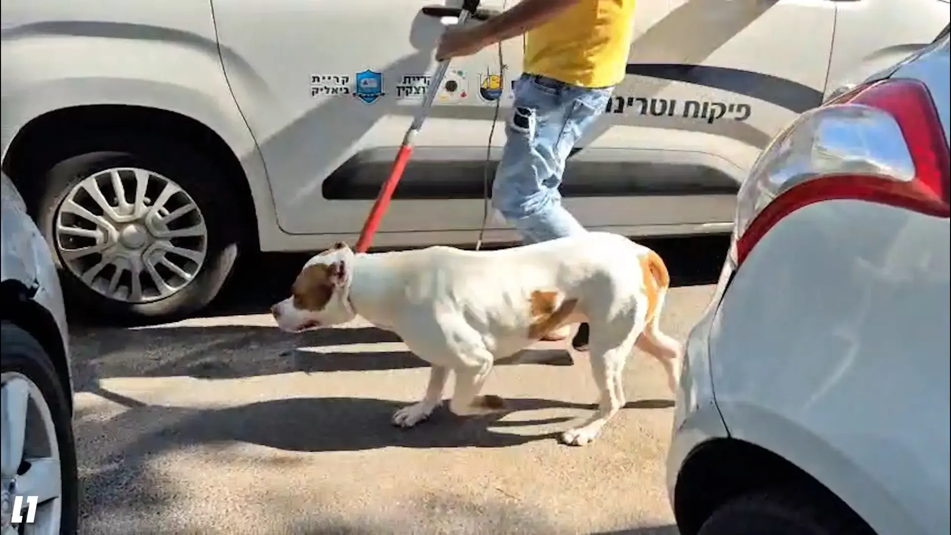לאחר מאבקו בביהמ"ש, אבי התינוקת שננשכה למוות ע"י פיטבול יוצא בקמפיין מימון המונים