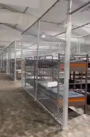אחרי שנה: "אלקטרז התנינים" של טראמפ נסגר