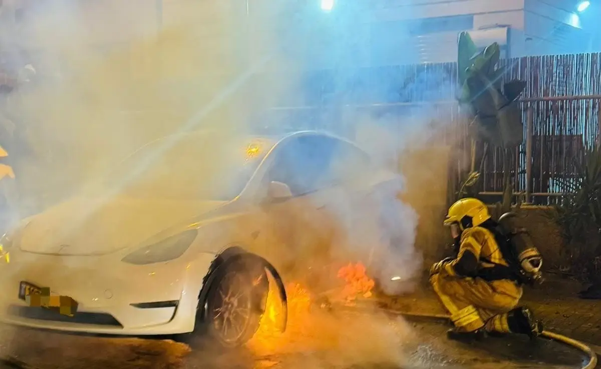 קנס של 320 ש"ח בשל "עץ טעינה": עיריית טבריה נלחמת בעמדות פיראטיות בעיר