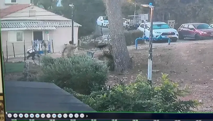 כלב פיטבול הסתער לעבר אדם סיעודי - ופצע אותו קשה בעינו | תיעוד