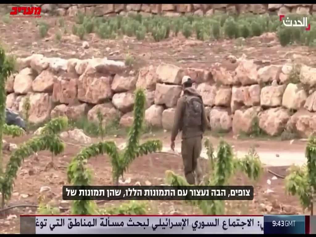 תחת מגבלות כבדות: המשלחת האיראנית מגיעה לניו יורק