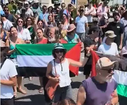 "אינם חוקתיים": ביהמ"ש פדרלי נגד מהלכי טראמפ לביטול ויזות בשל פעילות פרו-פלסטינית