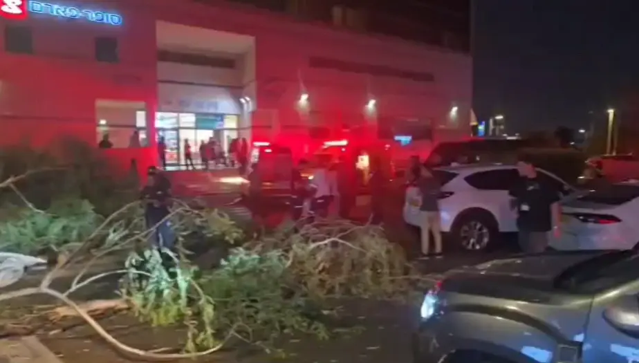 יצא להביא מים לאשתו שכרעה ללדת - ונהרג מקריסת עץ: אלמנת מהנדס אמזון תובעת מיליונים