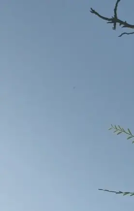 מאות כלי נשק ומקלעי מאג: רשת הברחות הענק נחשפה - 6 תושבי הנגב יעמדו לדין