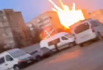 הרחפנים נפלו, הכבלים נשארו: ציפורים באוקראינה בונות קינים מסיבים אופטיים