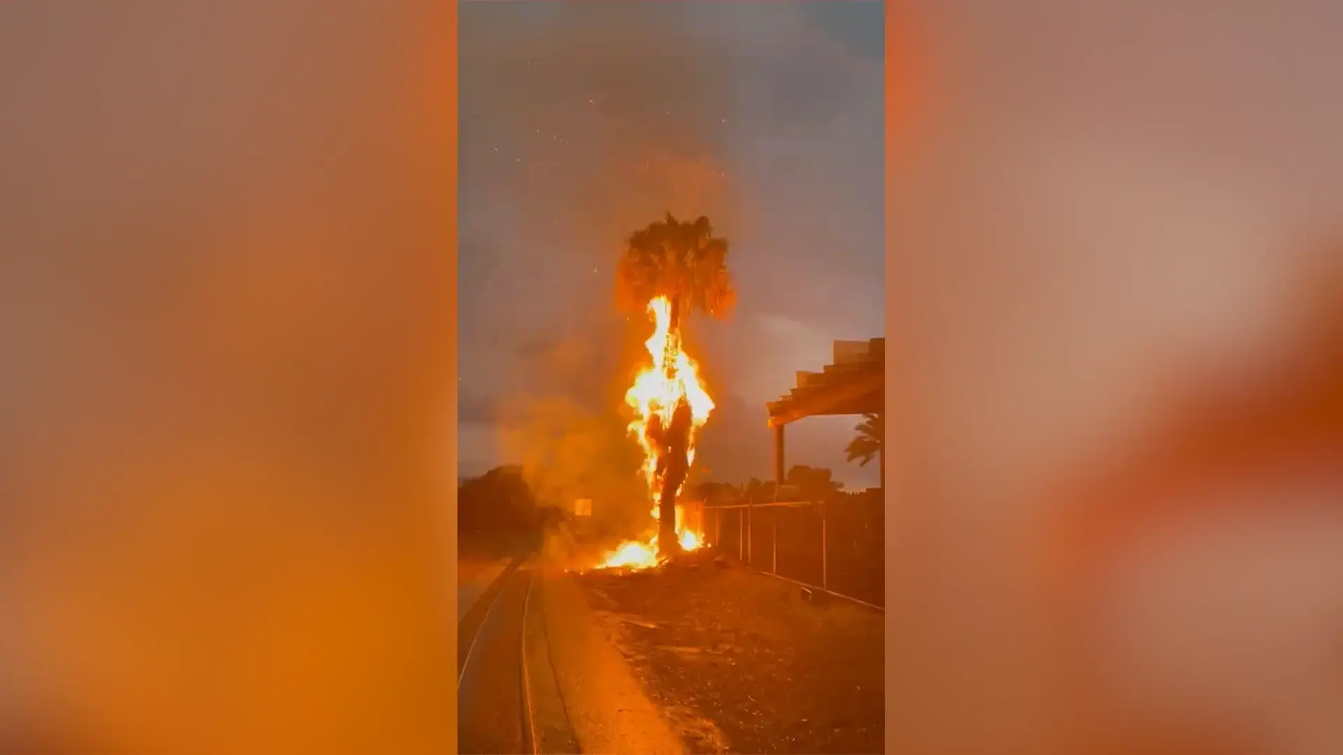תיעוד דרמטי: ברק פגע בעץ הדקל - שעלה באש