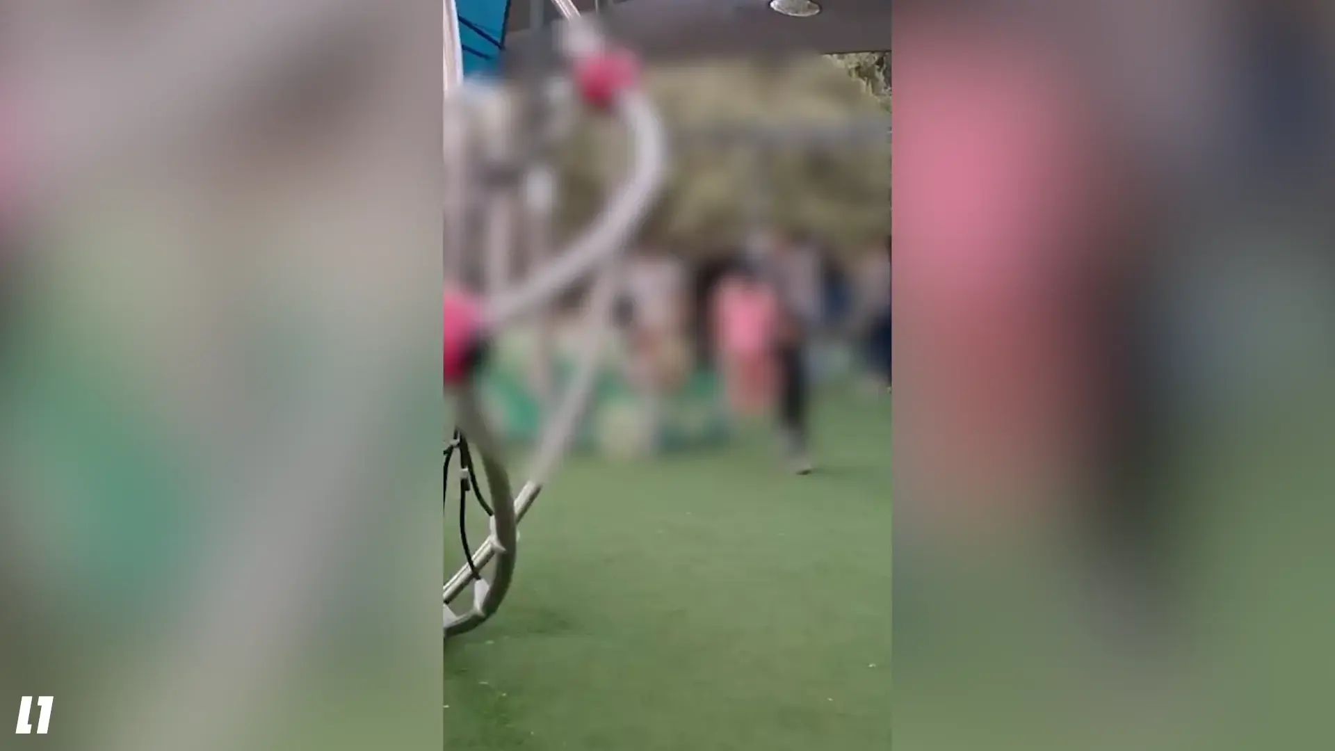 נדנדות ליהודים בלבד: תושבי פוריידיס הגיעו לבלות בפארק בזכרון, זה נגמר במכות | תיעוד