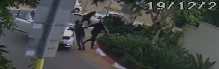 "אני זועק שיחזירו אותה הביתה": שלושה נעצרו בחשד להשתתפות בשוד בו נחטפה הכלבה לונה