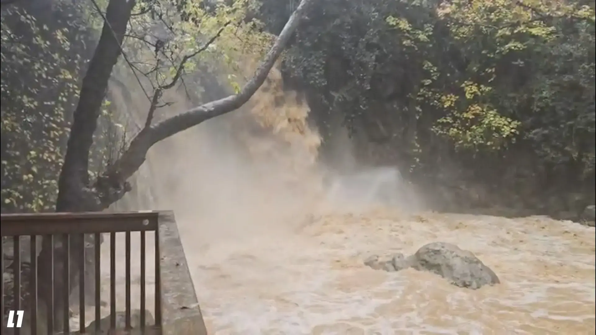 כמו בתאילנד: טפטופים ושרב חורפי בדרך אלינו | התחזית המלאה