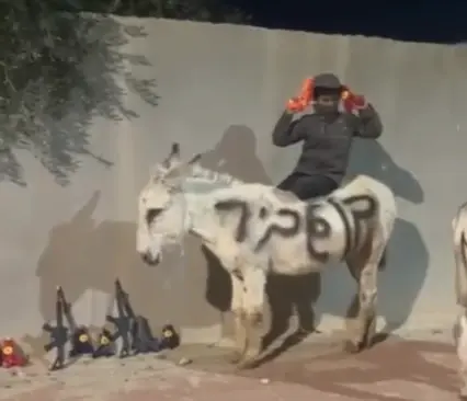 חמורים של "משמר בן גביר" : המופע של ילדי תראבין על חשבון השר | תיעוד