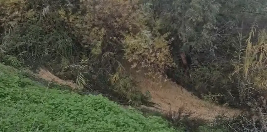 עלייה מעודדת במפלס הכנרת: נמדדה תוספת של 2.5 ס"מ בסוף השבוע