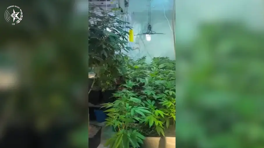 הפשיטה על הדירה בדרום הארץ - שהפתיעה את השוטרים