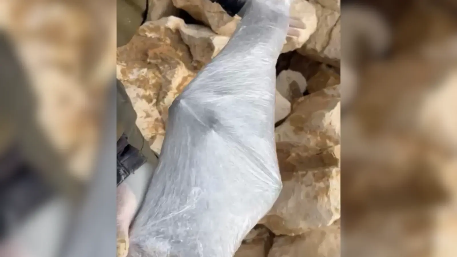 בעזרת הכלבים: השוטרים גילו מתחת לאדמה נשקים וסמים | תיעוד