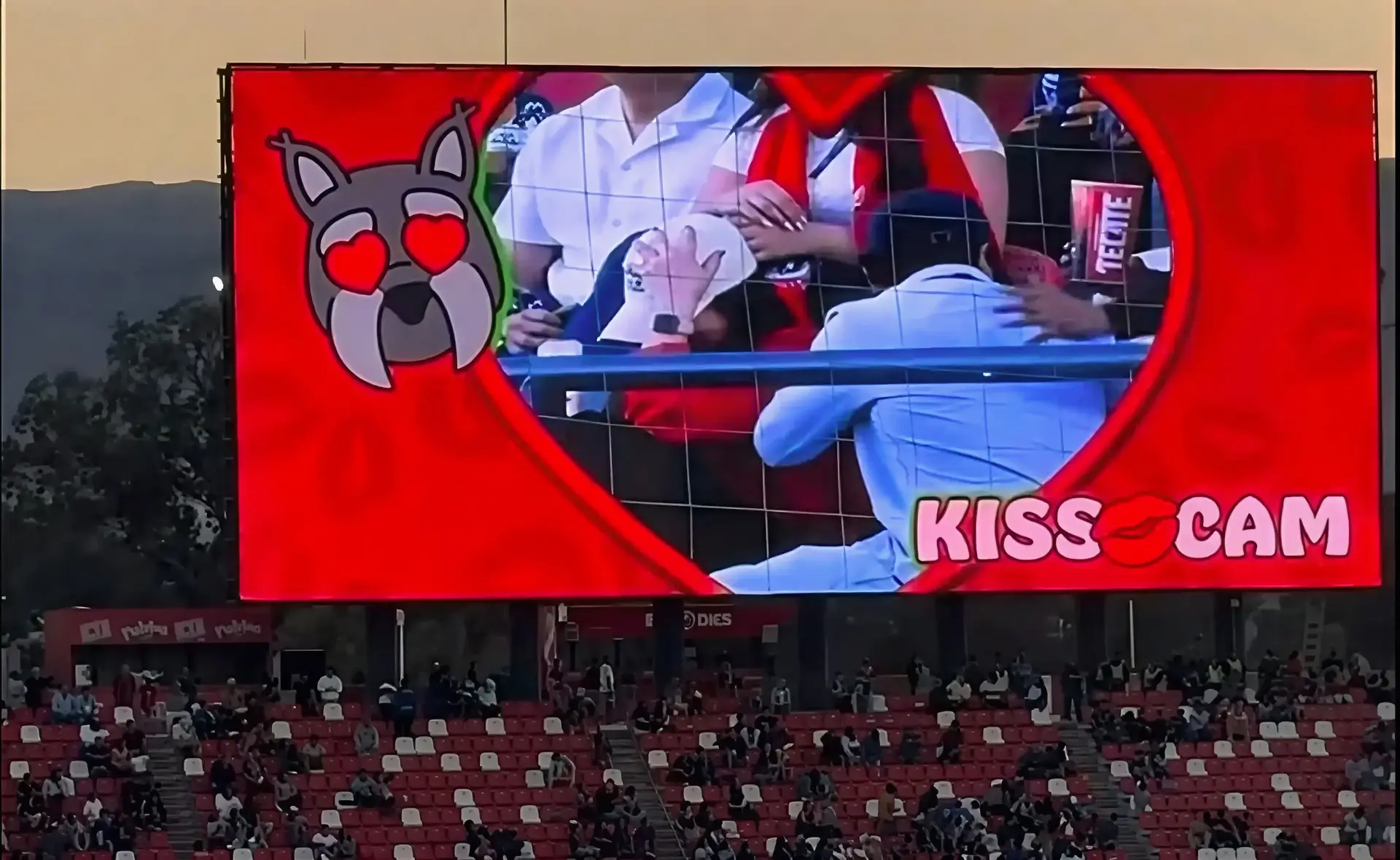 כן, שוב: זוג "בוגדים" נתפסו על חם ב-Kiss Cam והפכו לבדיחה