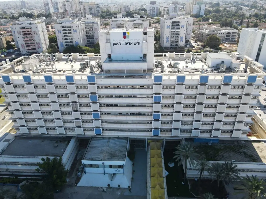 "לזהות את עצמך מחדש": המהפכה המגדרית של וולפסון