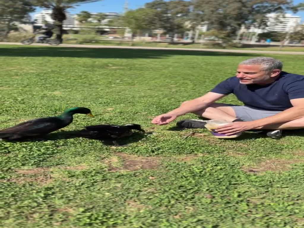 ינון מגל חושף את התרגיל ששיגע את המדינה: "יצאו טמבלים" | דעה