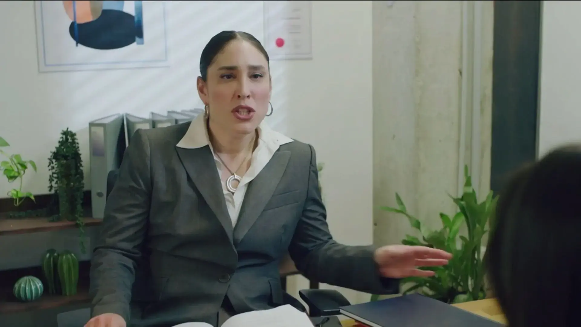 "זאת הרמה אחרי 23 עונות?" שאלו ב"ארץ נהדרת". ואז הגיעה מירי רגב