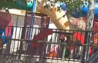 תמונת מצב מדאיגה: רק 22% מתלמידי ט' עומדים בדרישות באנגלית