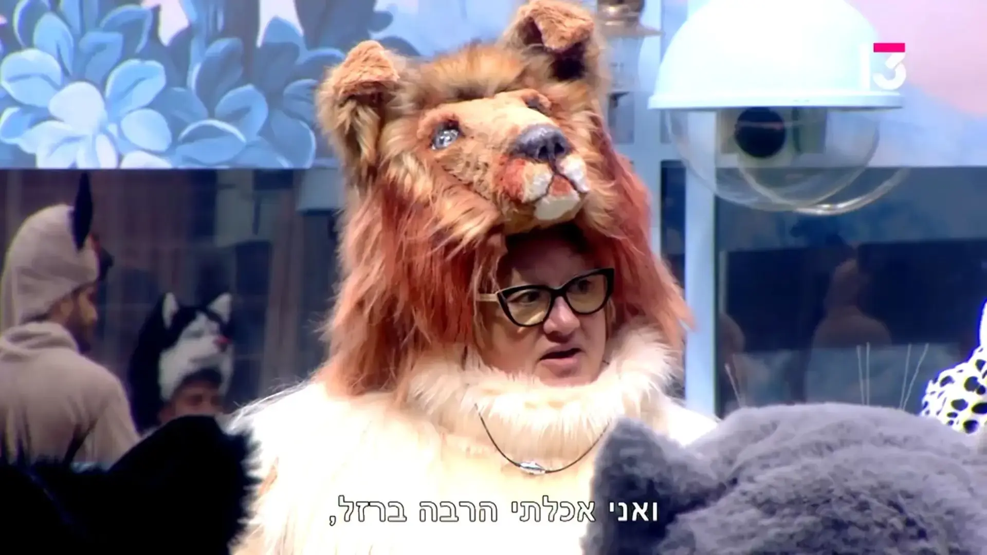 לא זוכר מקרה שבו דעתי על דיירת "האח הגדול" השתנתה מקצה לקצה כמו עם פאני