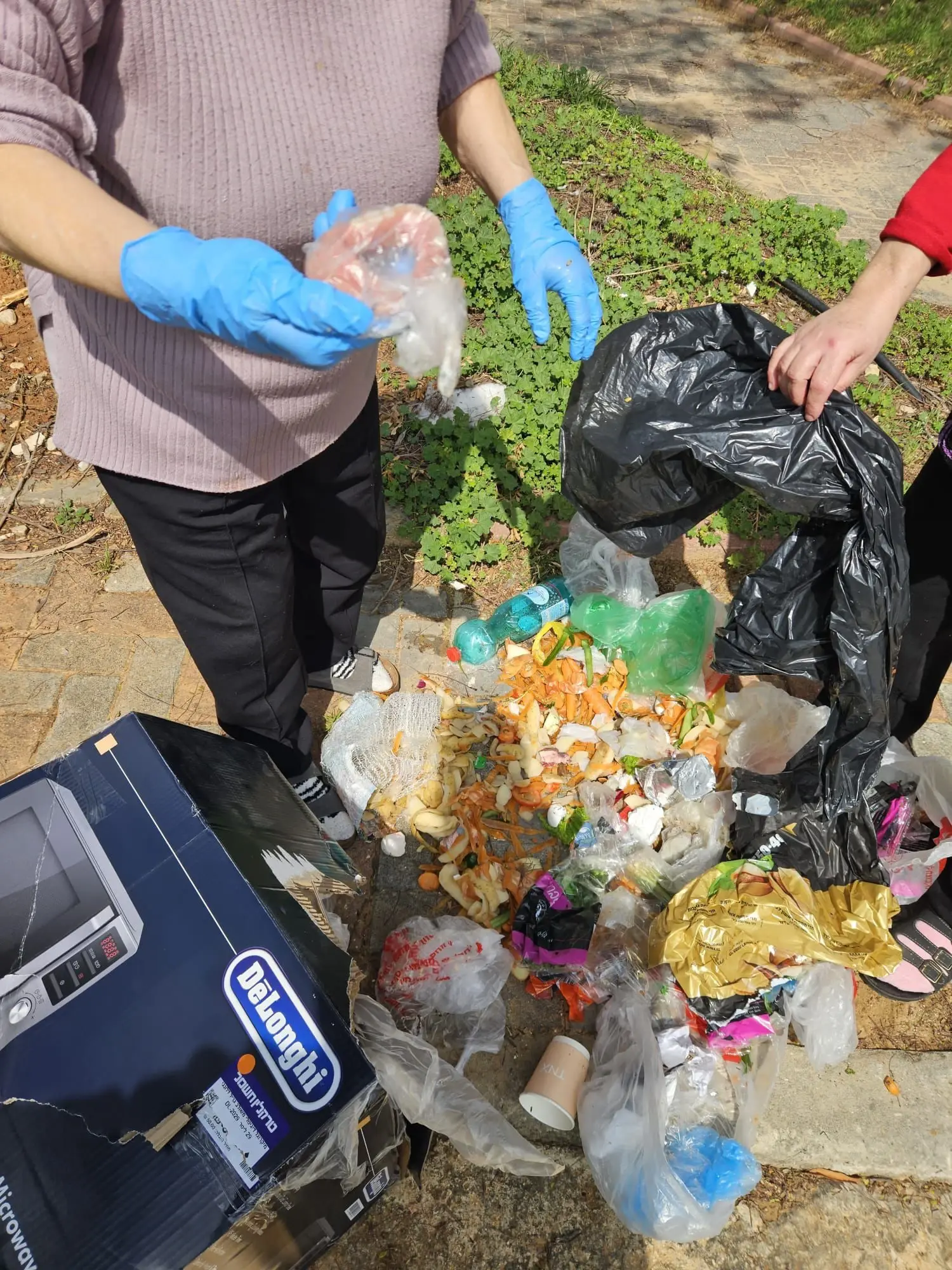 טעות מצערת בפח האשפה: המבצע לחילוץ השיניים התותבות באשדוד