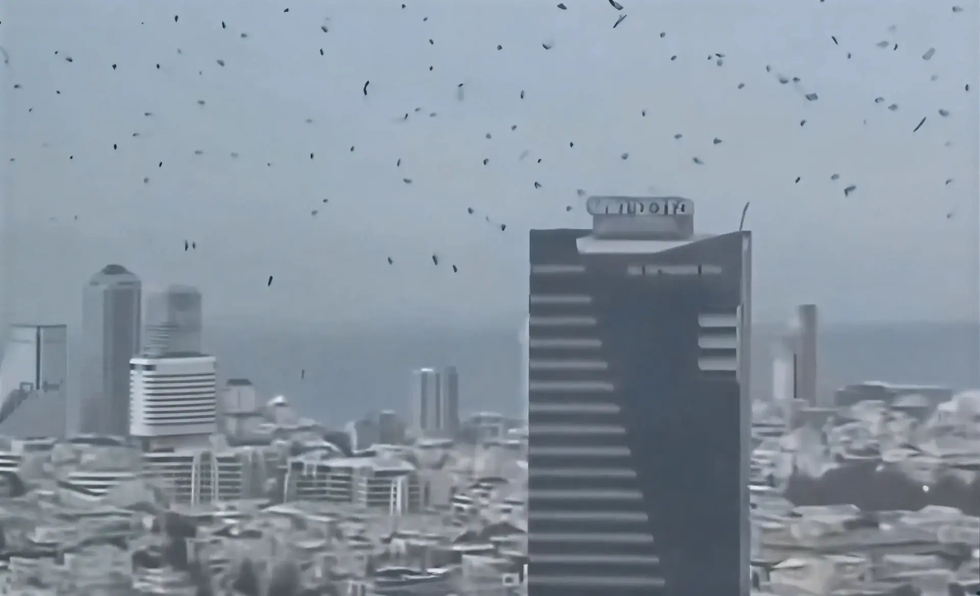 תיעוד חריג בתל אביב: להקת עורבים ענקית עוררה בהלה ו"נבואות זעם"