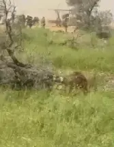 "אמרתי להם - אני יודעת”: ליאם בן חמו נהרג מפגיעת רחפן נפץ בלבנון