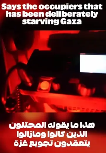 "אני אנרכיסטית": הישראלית שמנסה לפרוץ את "המצור על עזה" - על המשט בדרך לישראל