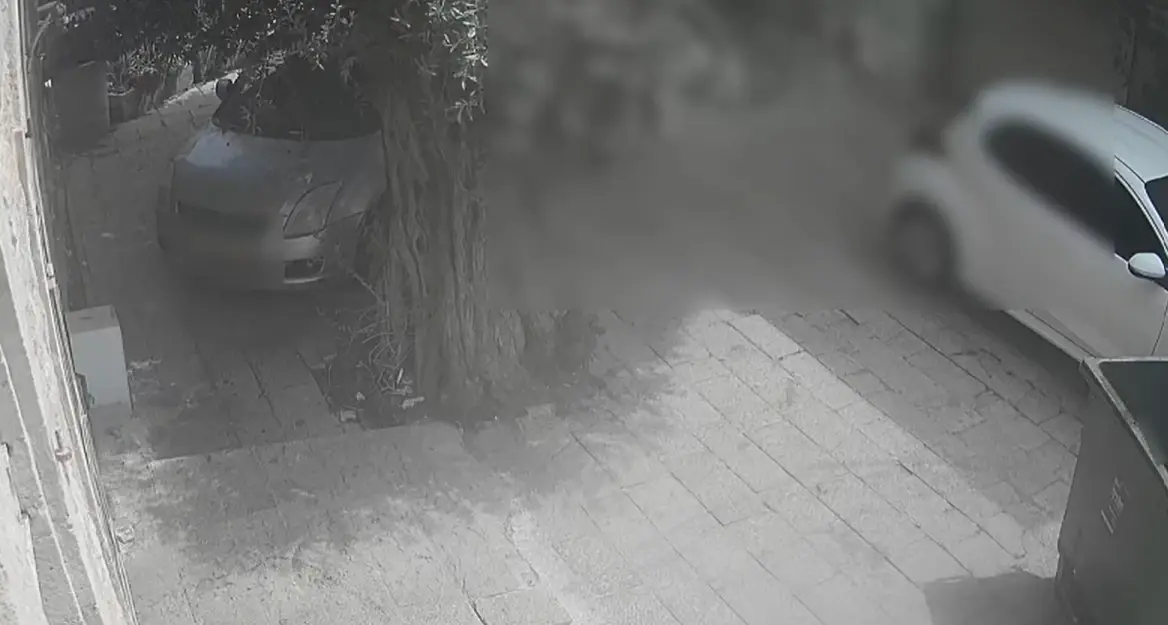 פוענח ניסיון הרצח הכפול במושבה הגרמנית בחיפה