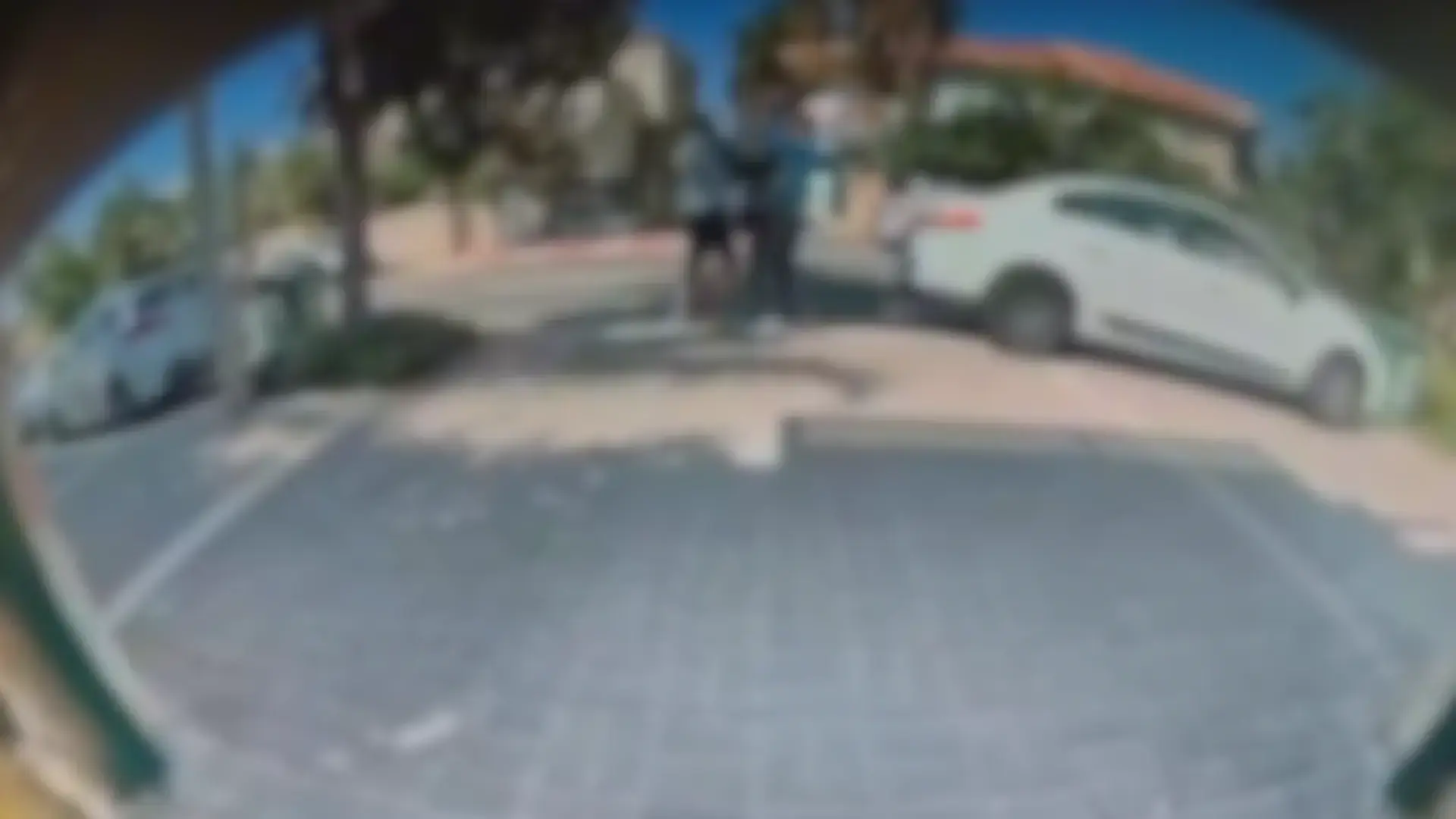 "תחזור לרוסיה": צעיר מאשדוד תקף קשיש באכזריות ושיסה בו את כלבו