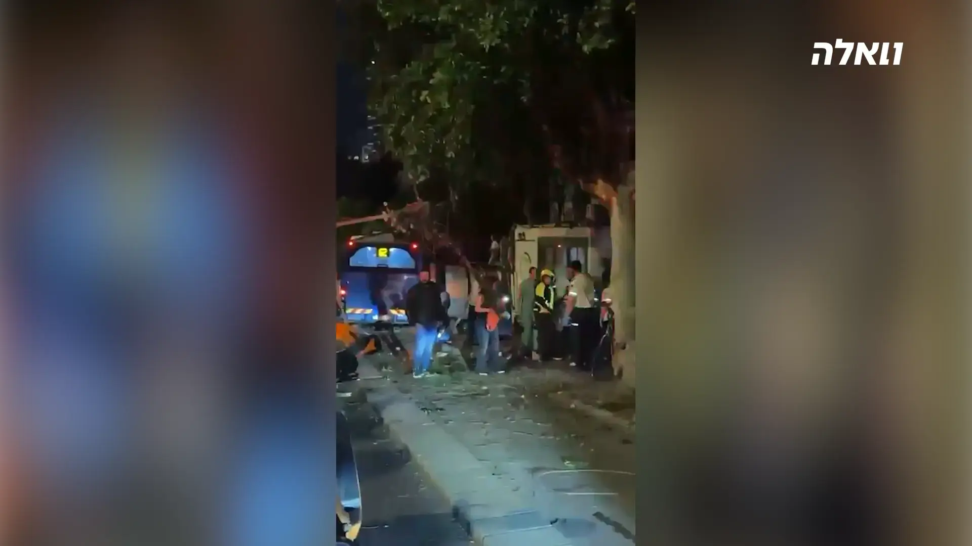 הטרגדיה בדיזנגוף: נקבע מותה של טליה חיה טימסית בת ה-11, שנפגעה בתאונת אוטובוס