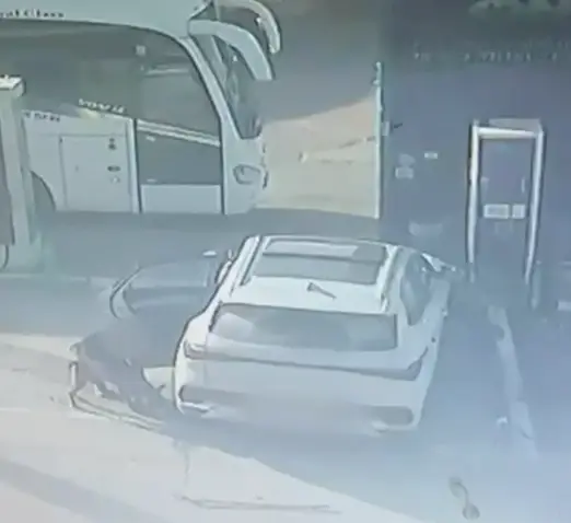 נעצר במגדל העמק חשוד המעורב בגניבת כלב שירות