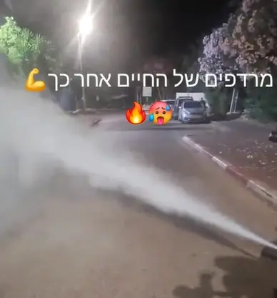 "חגיגת החתונה" יצאה משליטה על ניידת המשטרה - והאורחים נעצרו