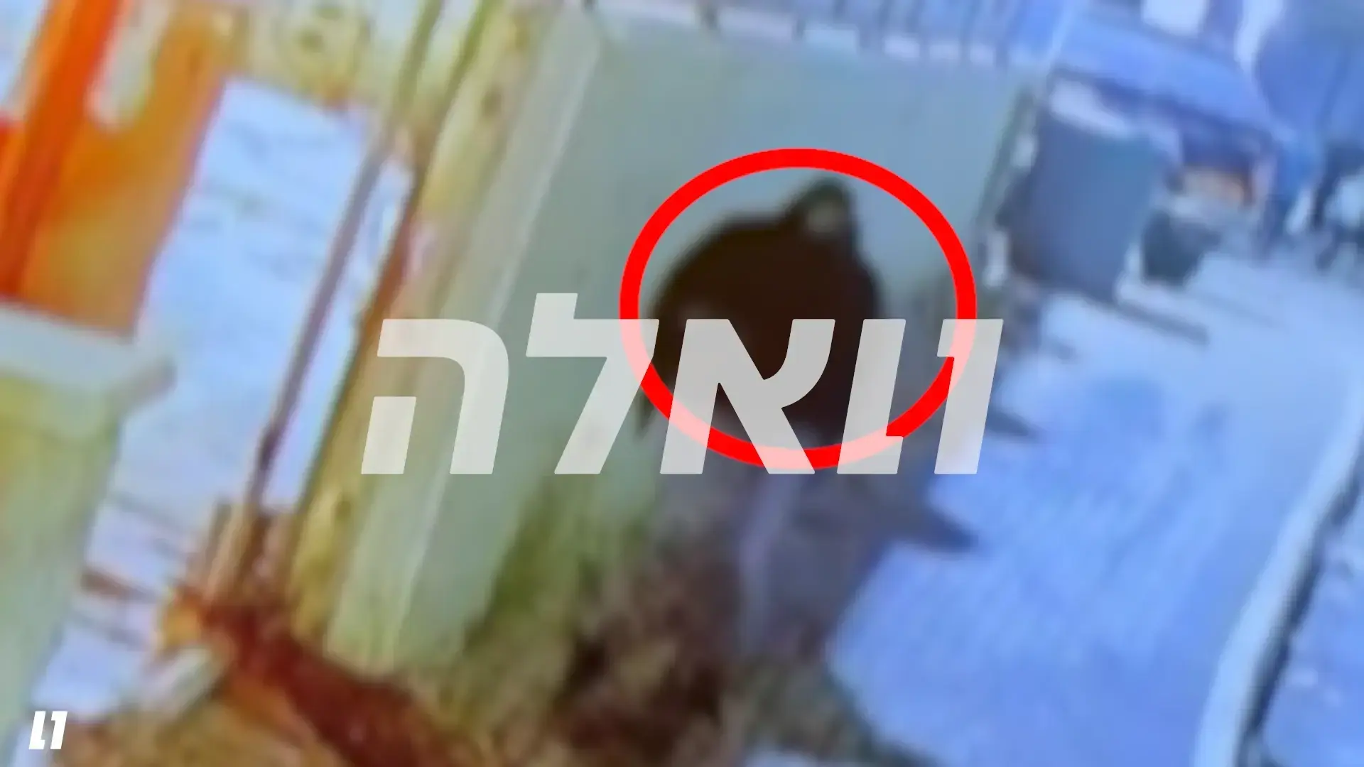 תיעוד הרצח בכפר קאסם: רעול פנים ארב לנהאיה - וירה בה לעיני בנה | נחשף בוואלה